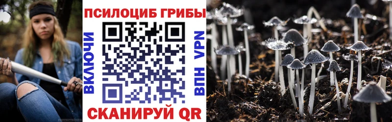 сколько стоит Красноперекопск Галлюциногенные грибы GOLDEN TEACHER